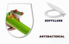 WC sedtko 45097873 - Green Frog with red eye.