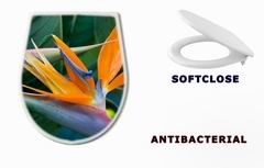 WC sedtko 4597308 - Bird of paradise