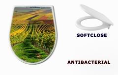 WC sedtko 46267041 - Vineyards in autumn colours. The Rhine valley, Germany