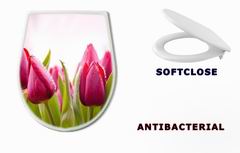 WC sedtko 51930622 - Fresh Tulips with Dew Drops