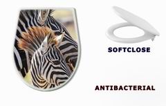 WC sedtko 54195512 - Baby zebra with mother