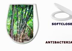 WC sedtko 54731714 - Bamboo forest