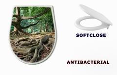 WC sedtko 5748939 - Primeval rainforest in Kandy, Sri Lanka