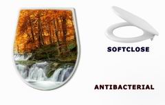 WC sedtko 63059760 - forest waterfall