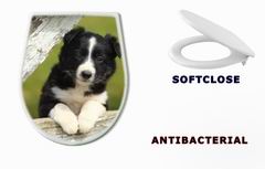 WC sedtko 63537900 - Border Collie Puppy With Paws on White Rustic Fence 2