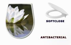 WC sedtko 653618 - white delicate water lily