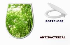 WC sedtko 9130682 - sunlight in trees of green forest